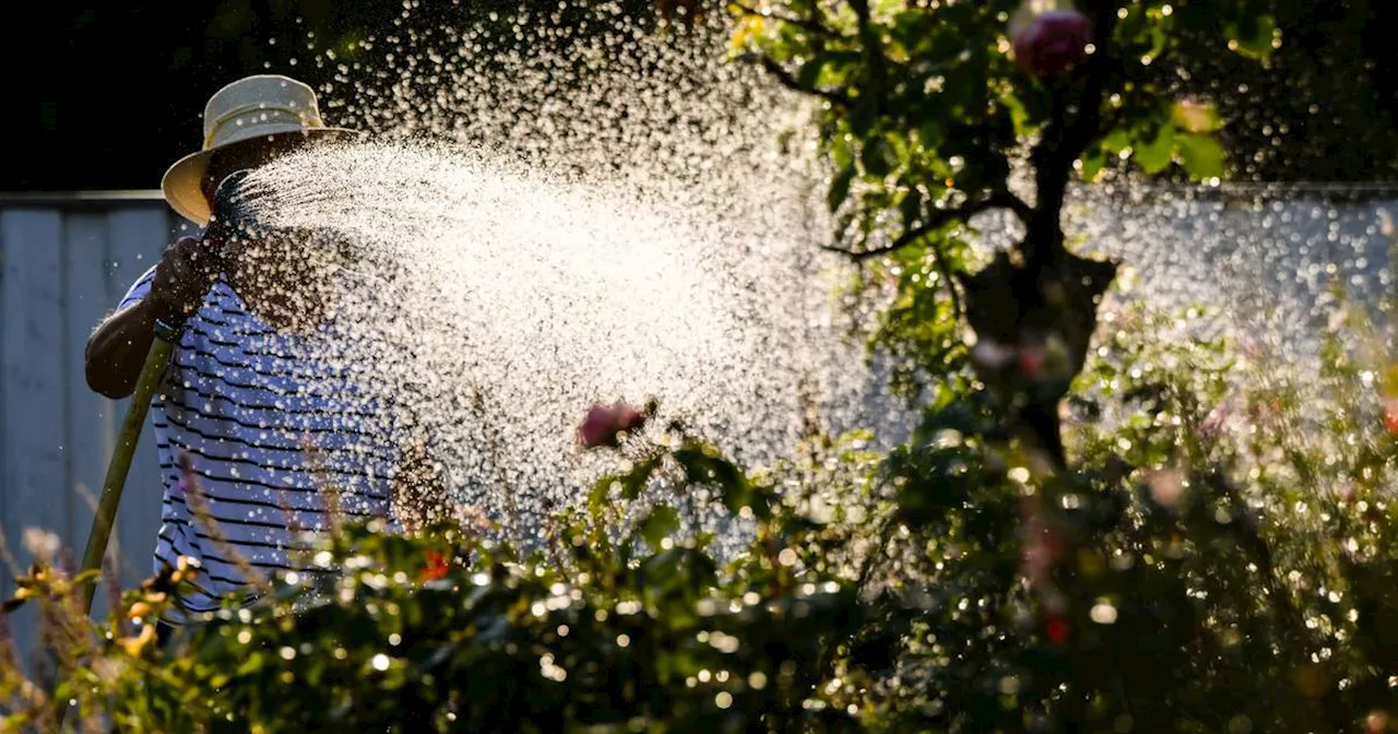 NRW-Wetter: Bis zu 32 Grad und Sonne – Hier wird es besonders heiß