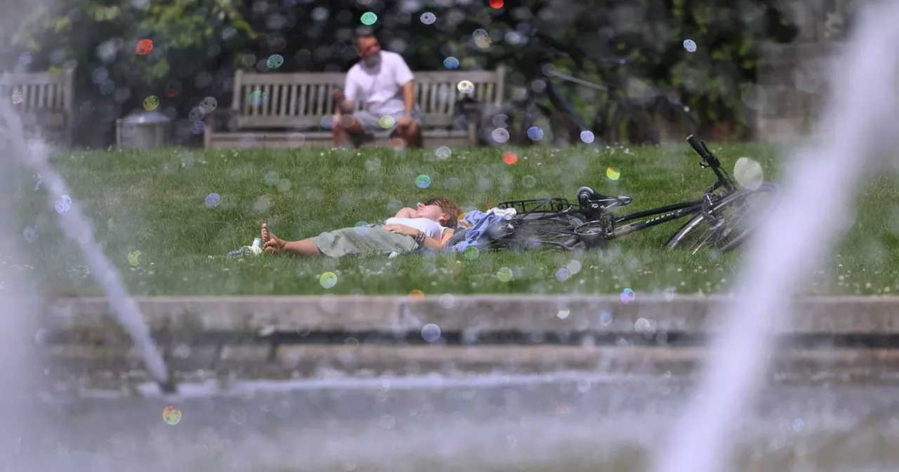 Wetter in Düsseldorf, Köln und Co.: Hier wird es besonders heiß