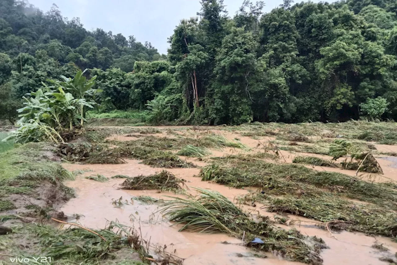 แม่ฮ่องสอนเจอน้ำป่าในลำน้ำสอยถล่มเหมืองฝายพังยับระบบประปาต้องหยุดดำเนินการ