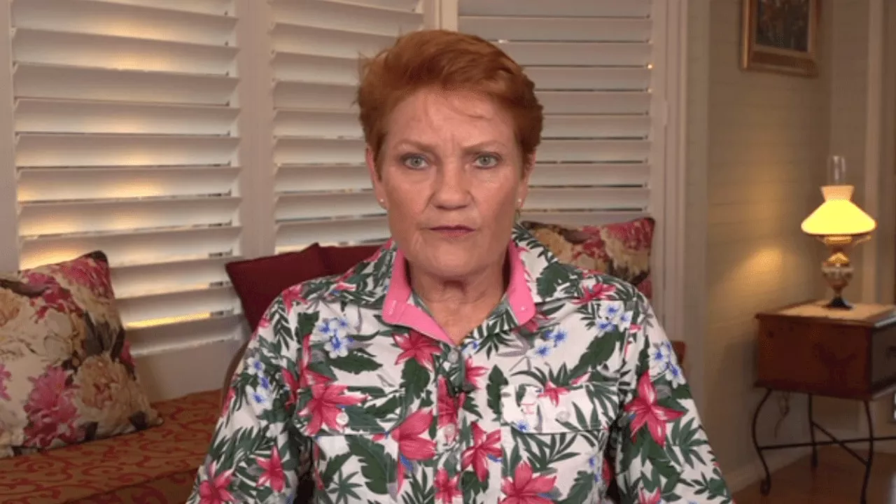 Pauline Hanson laments ‘woke’ education system failing Aussie kids