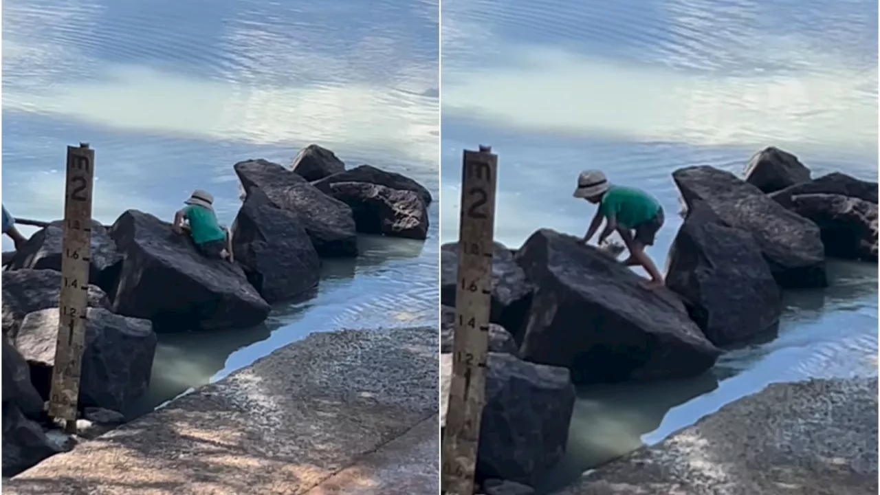 Shocking video shows child playing at water’s edge of croc-infested river