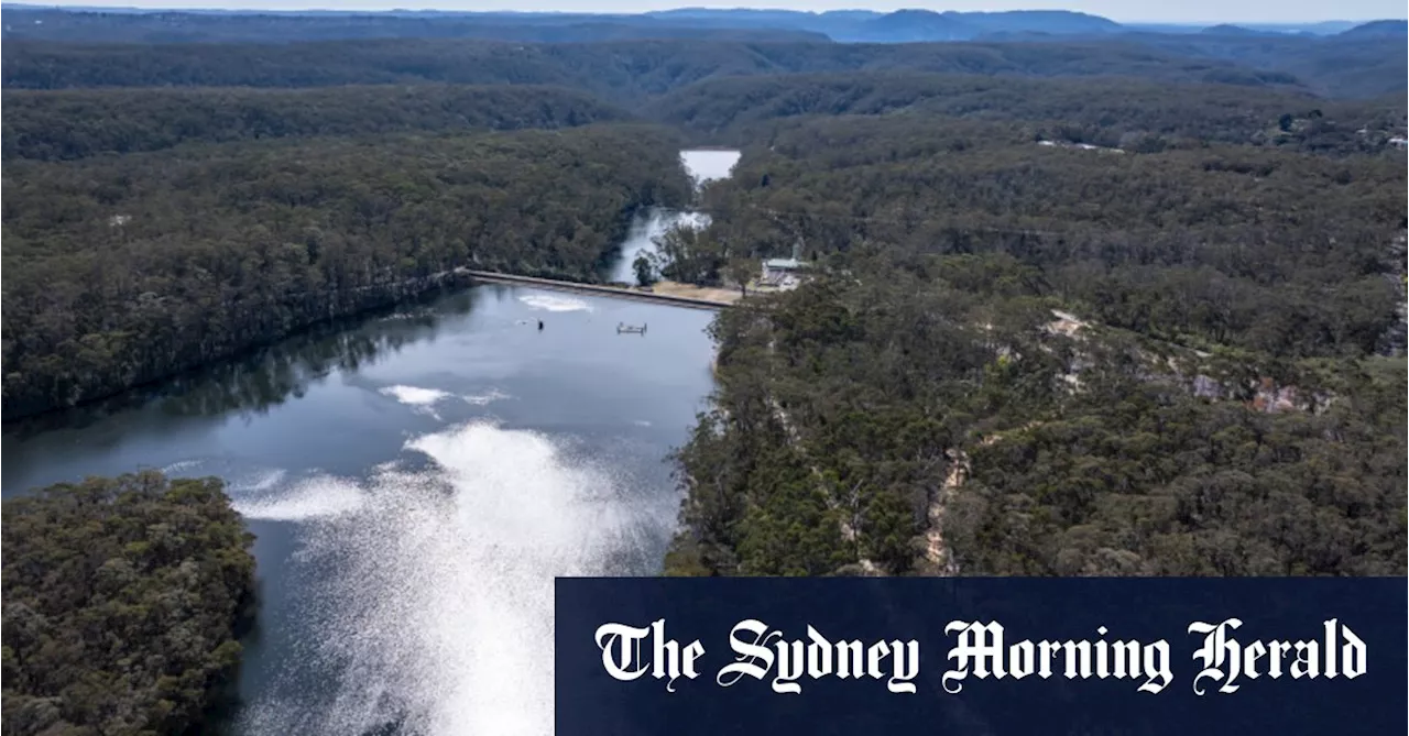 Blue Mountains dam shut after discovery of cancer-linked forever chemicals