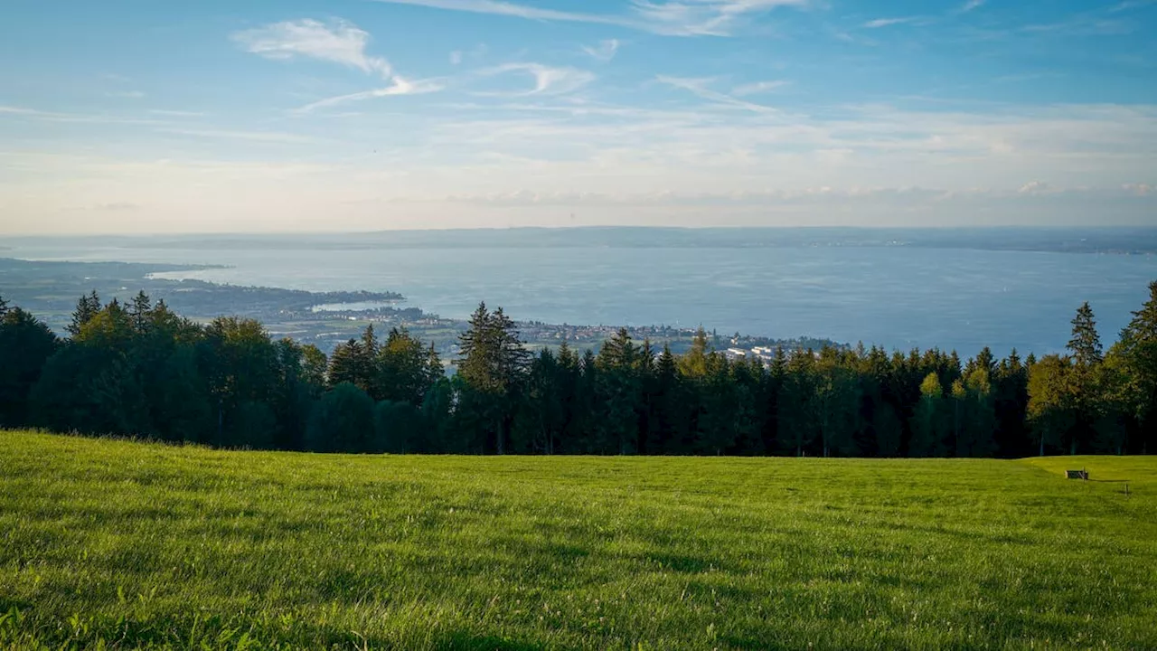 Von Mörschwil über Eggersriet bis Altenrhein: Schädliche Chemikalien in Böden, im Wasser, im Fleisch und in der Milch von Tieren