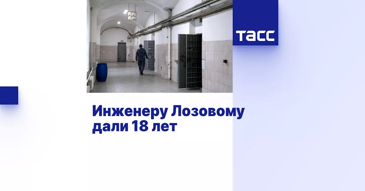 Инженеру Лозовому дали 18 лет