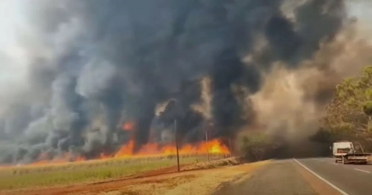 PF abre 33 inquéritos sobre incêndios no país e apura ação coordenada em São Paulo