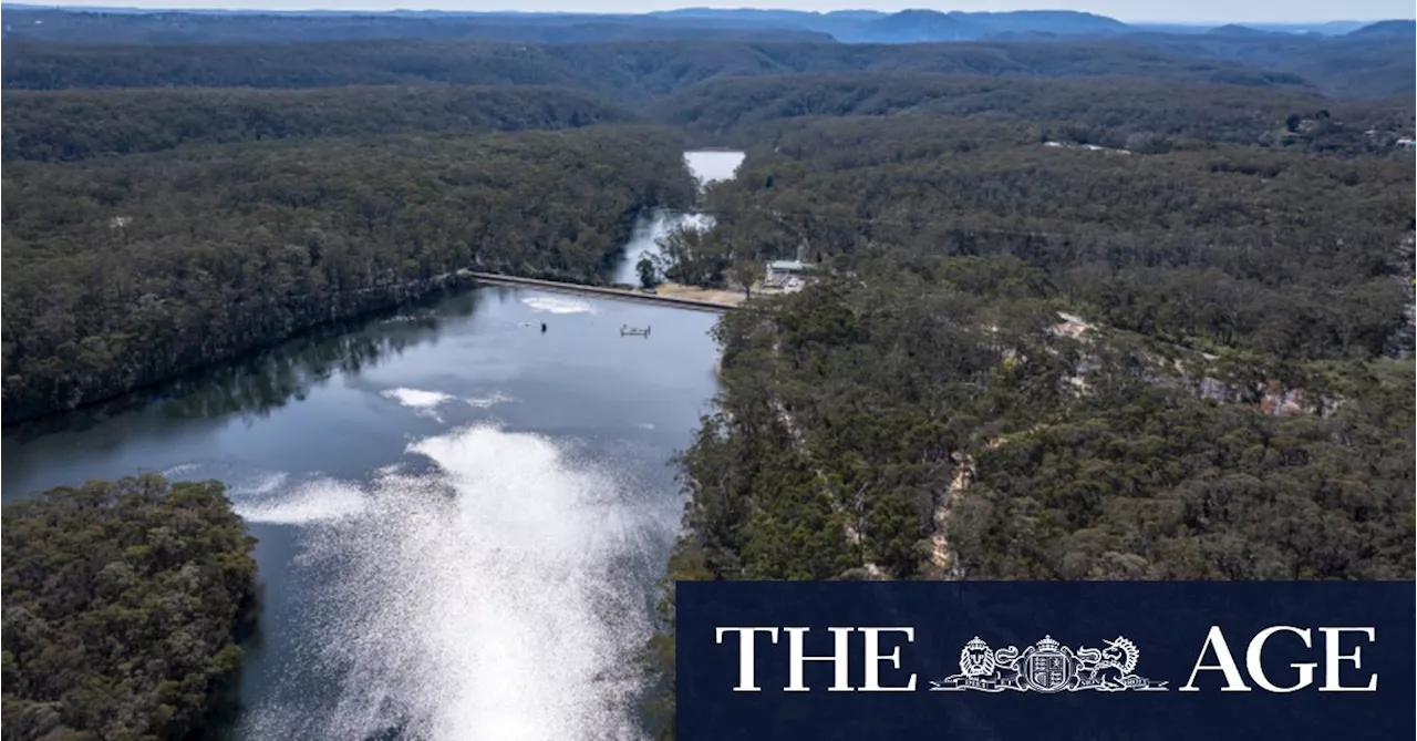 Blue Mountains dam shut after discovery of cancer-linked forever chemicals