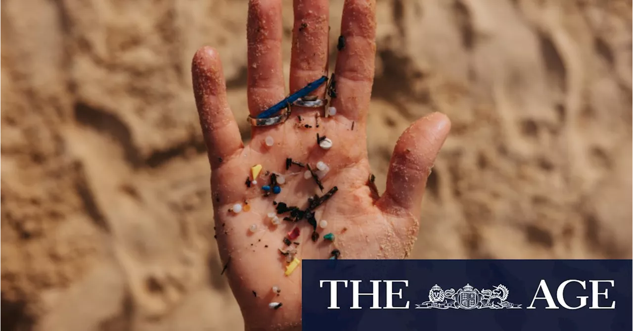 ‘Insidious pollutant’: The microplastic hotspots in Sydney Harbour revealed