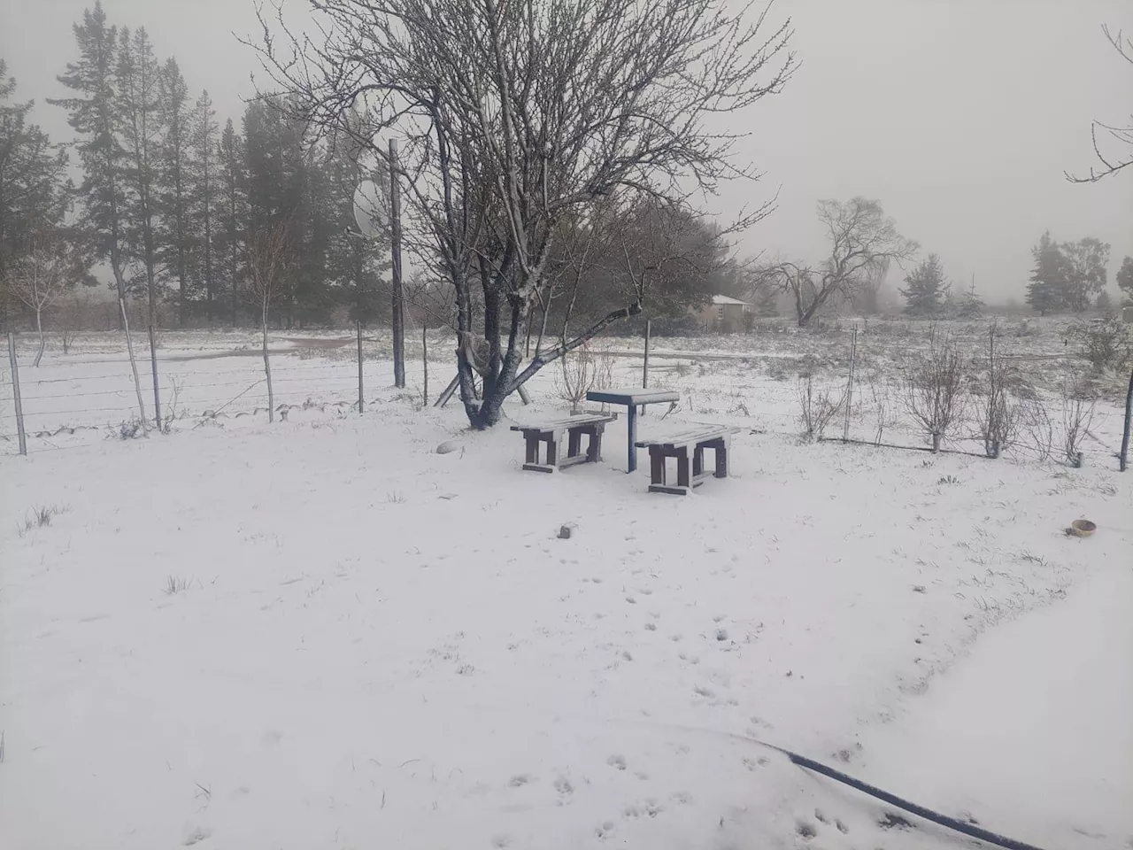 Snow falls in Cape Town, Karoo as cold weather continues to Thursday [VIDEOS]