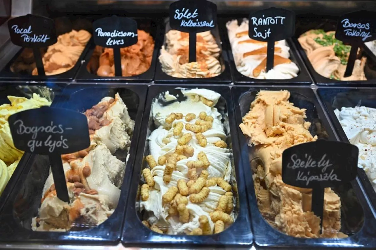 Dish-based ice cream flavors a hit in Hungary