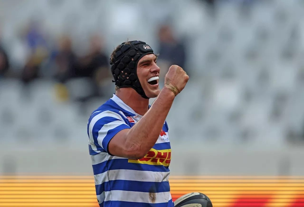 Goodbye WP: Famous Western Province set for permanent brand rename to Stormers