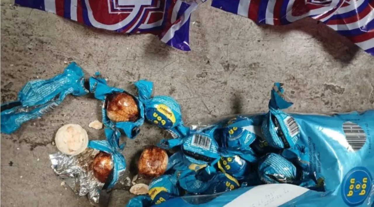 SA ‘drug mule’ bust: Hawks hit the sweet spot, seize 10kg cocaine haul hidden in treats