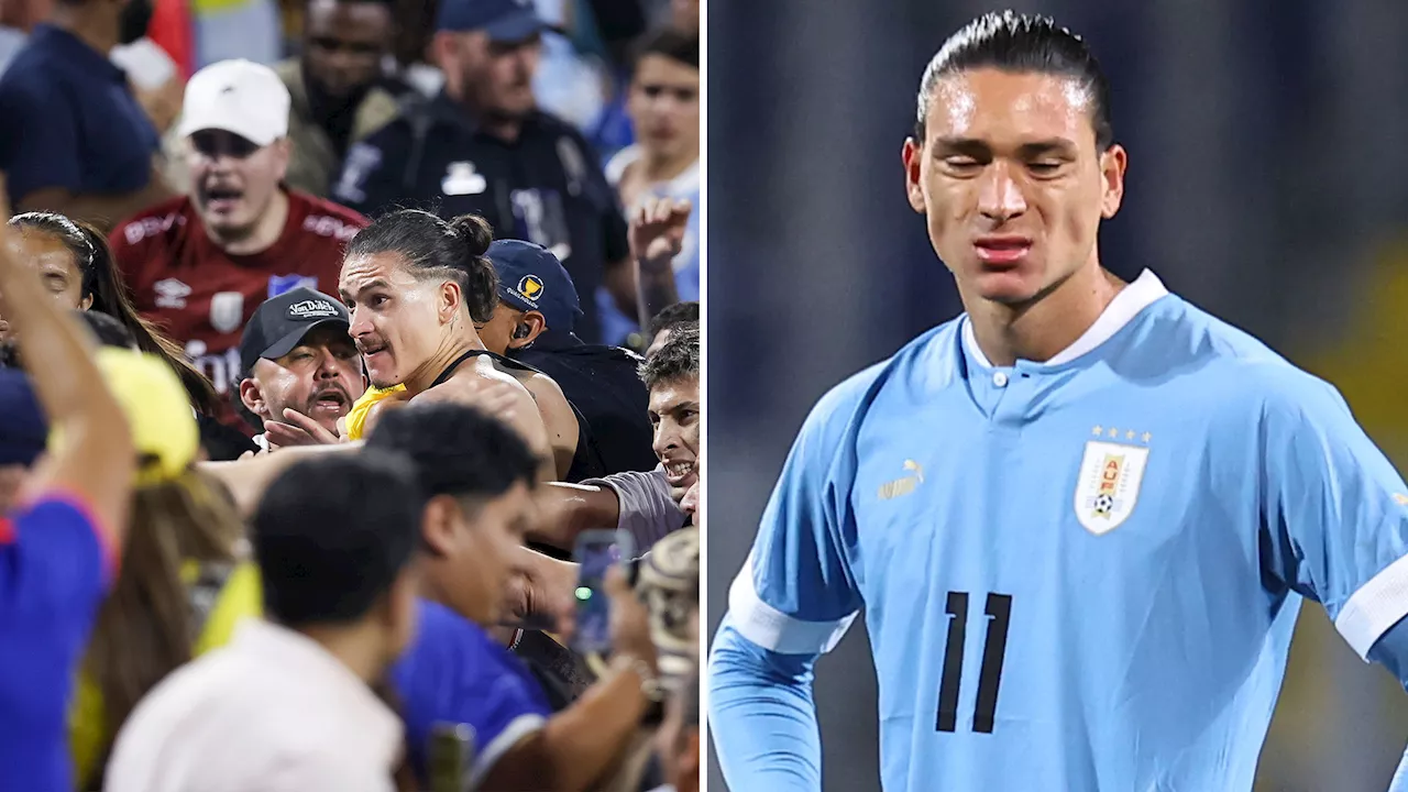 Liverpool star Darwin Nunez slapped with FIVE-MATCH ban after Uruguay brawl with fans...