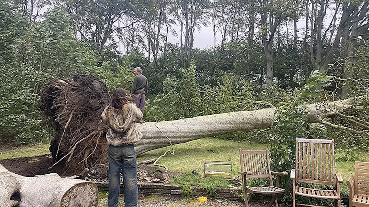 Dennis havde vild oplevelse under stormen