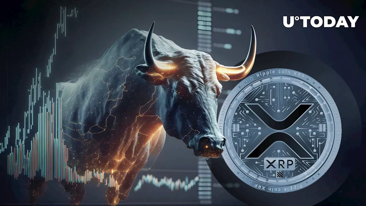 200 Million XRP out into Unknown as Bulls Defend XRP Price