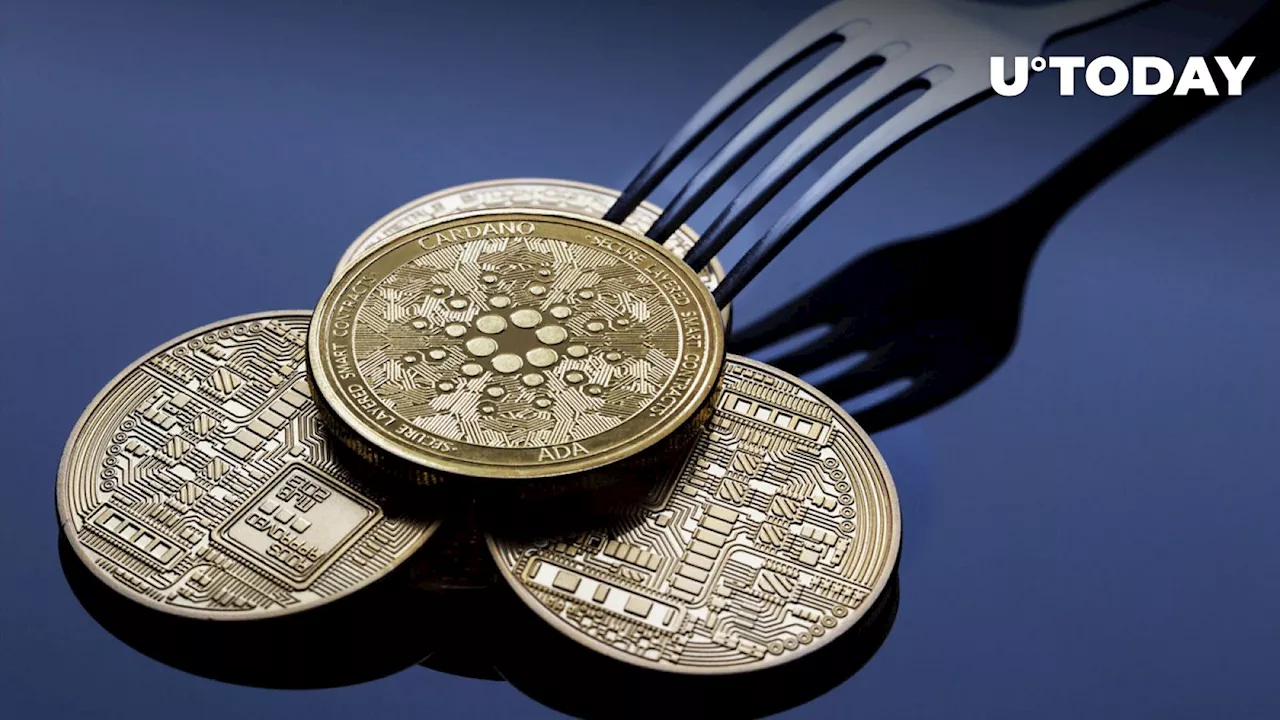 Cardano Announces Crucial Date for Chang Hard Fork: Details