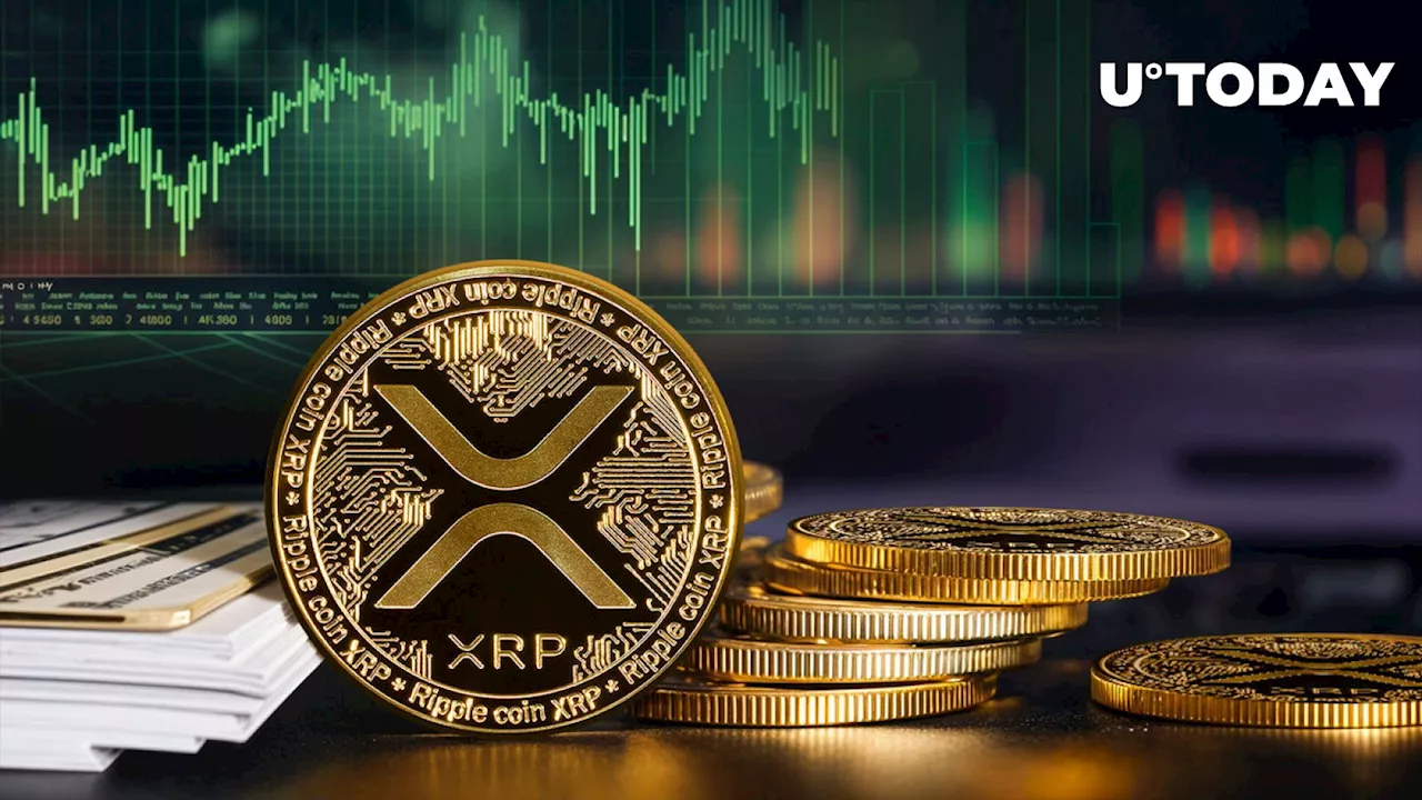 XRP Rockets 70% in Volume as XRP Price Remains Bullish