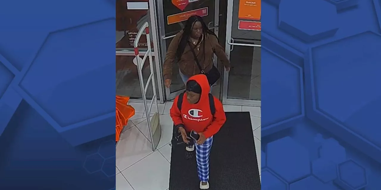 Opelika police ask for public’s help to identify theft suspects