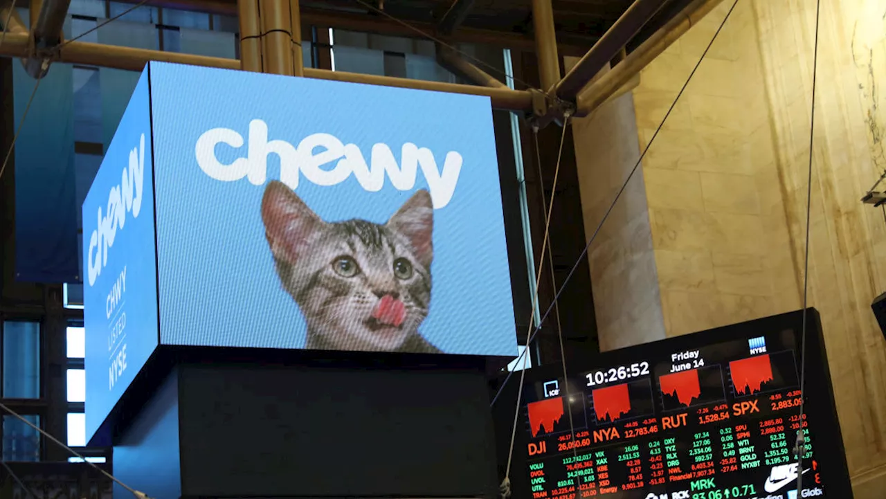 Chewy stock jumps, Q2 results top estimates