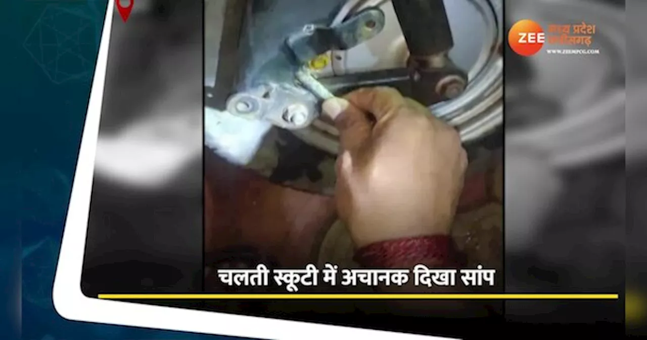 चलती स्कूटी से निकला सांप, Video देखकर रह जाएंगे हैरान