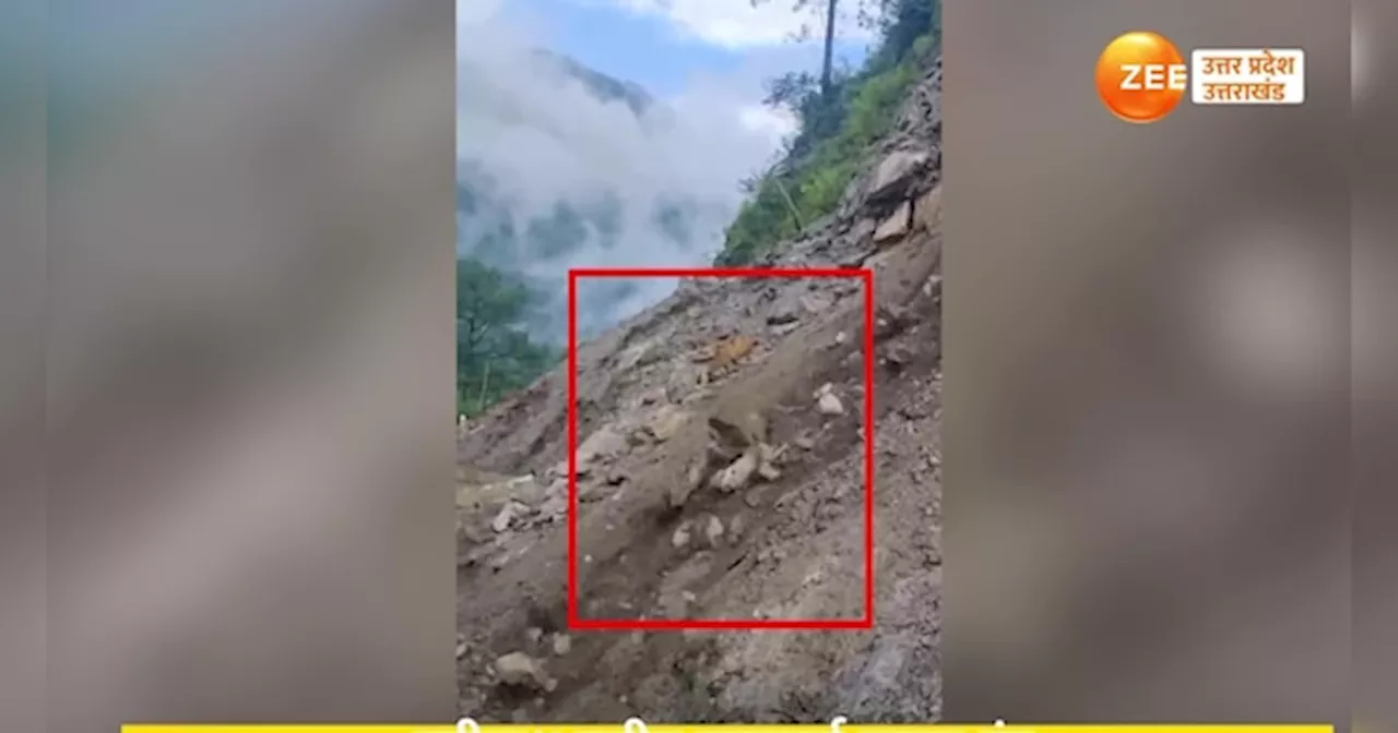 Badrinath Landslide video: बद्रीनाथ राष्ट्रीय मार्ग रहें बंद, लैंडस्लाइड ने फिर बड़ाई परेशानी