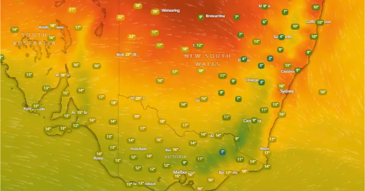 Soaring temperatures, high winds prompt high fire danger warning for Sydney