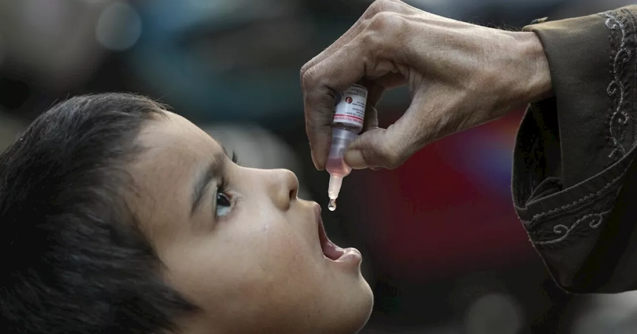 Israel to temporarily halt fighting in Gaza for children's polio vaccinations