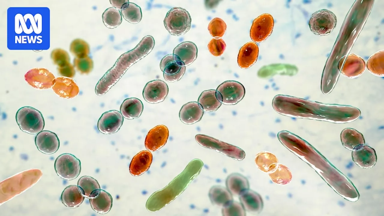 Scientists identify thousands of microbes in the 'food microbiome'