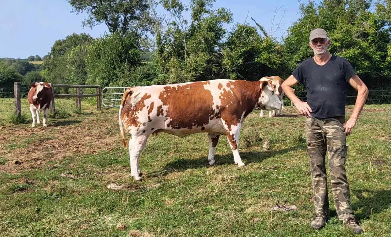 Roussé-Vassé. Cet éleveur va présenter cinq Saosnoises au Festival de la Viande