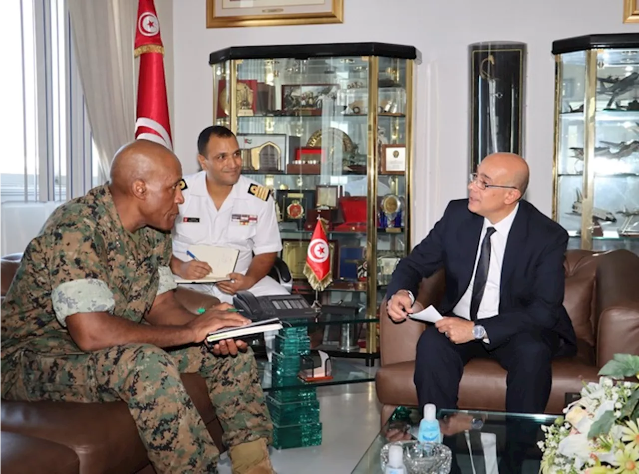 Comandante Usa in Africa incontra ministro difesa Tunisia