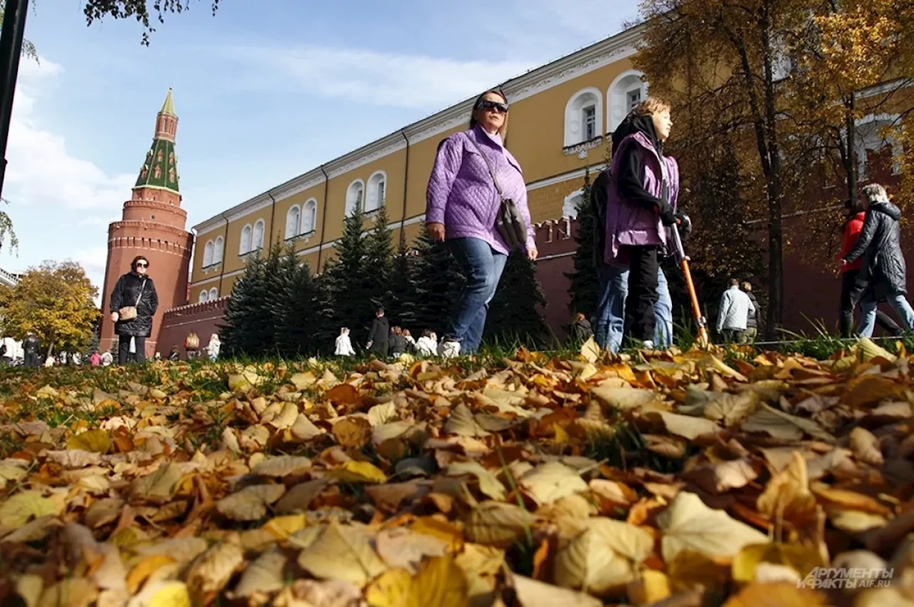 Врач Морозова объяснила, как укрепить здоровье к осеннему сезону