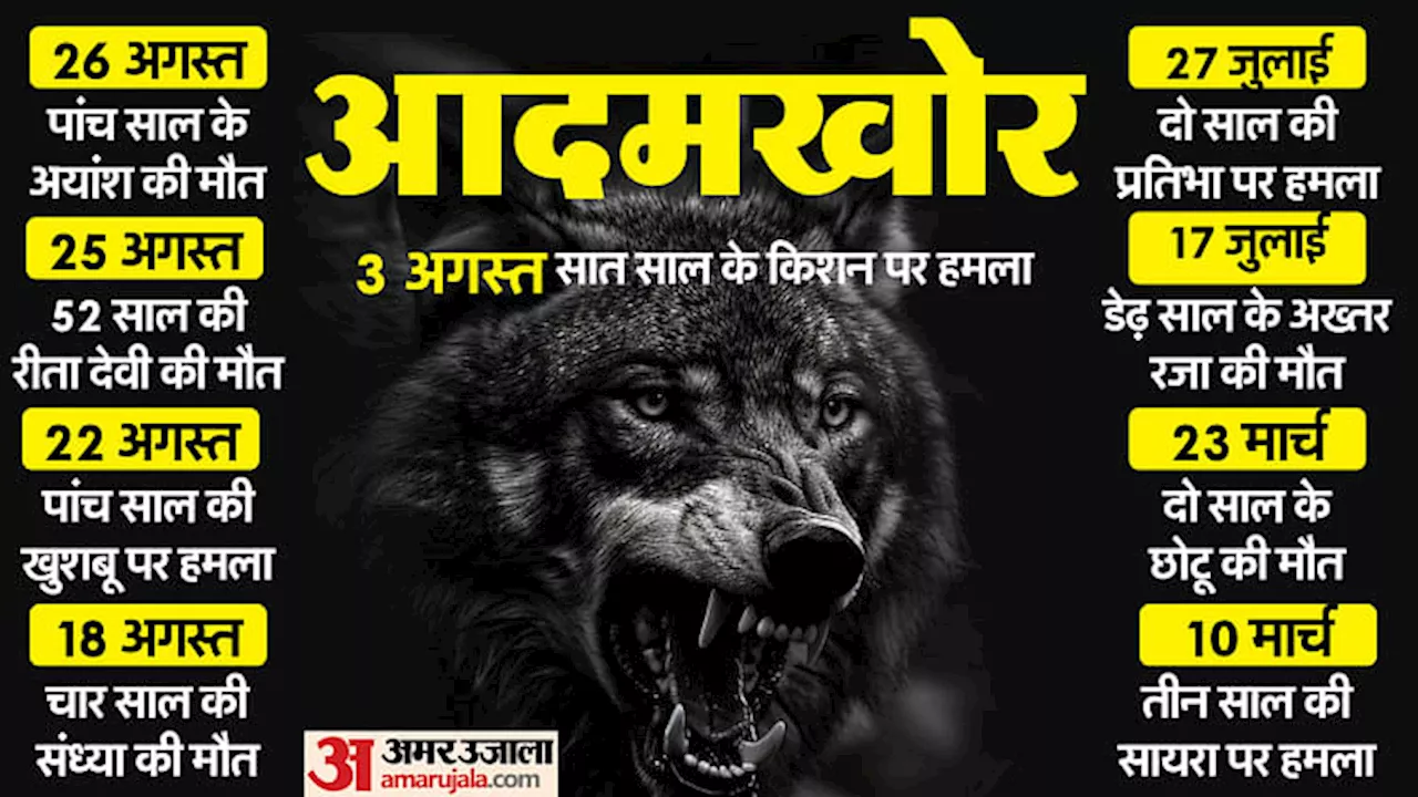 Bahraich Wolf Attack: बहराइच में क्यों आदमखोर हुए भेड़िये, क्या कर रहीं वन विभाग की 16 टीमें? अब तक नौ की मौत