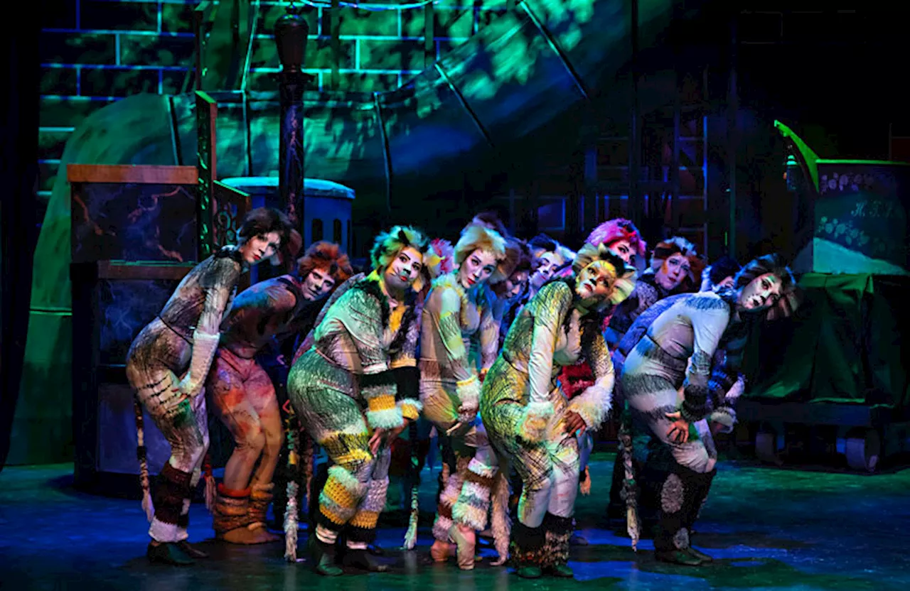 Theatre Review: Georgetown Palace Theatre’s Cats