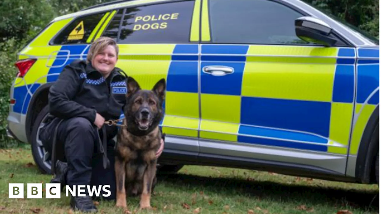 Northants: Police dog nicknamed The Bear 'puts up his paws'