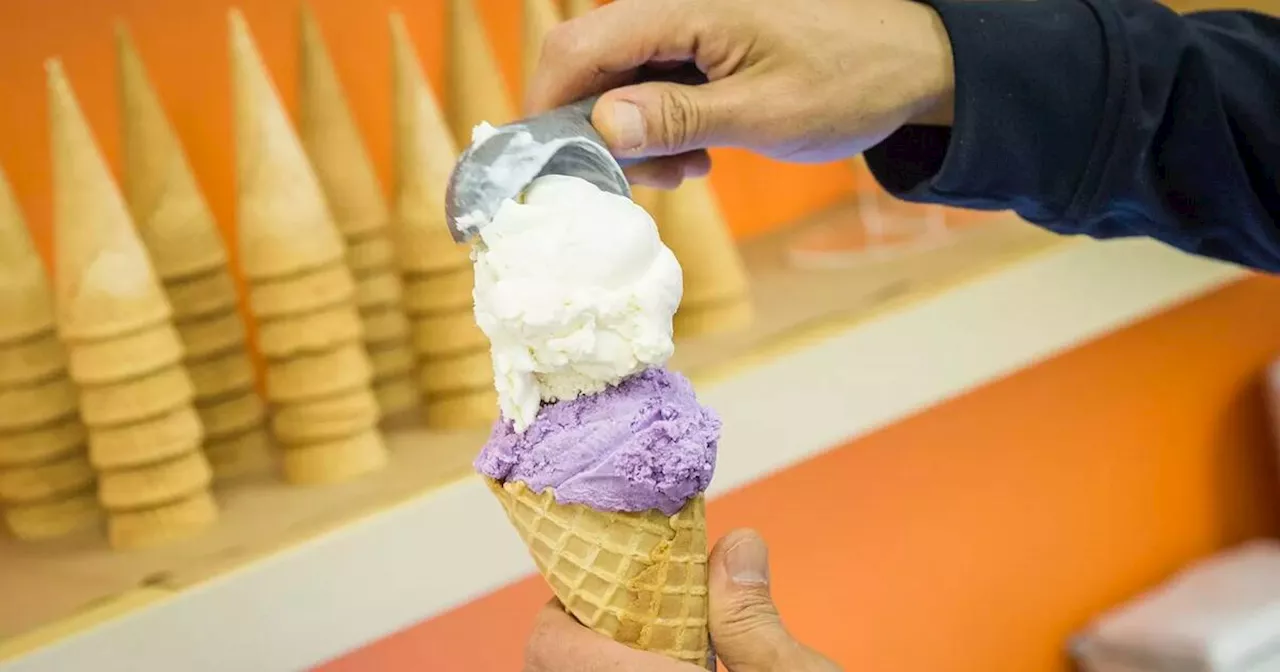 Toronto ice cream maker celebrated for unique flavours is calling it quits