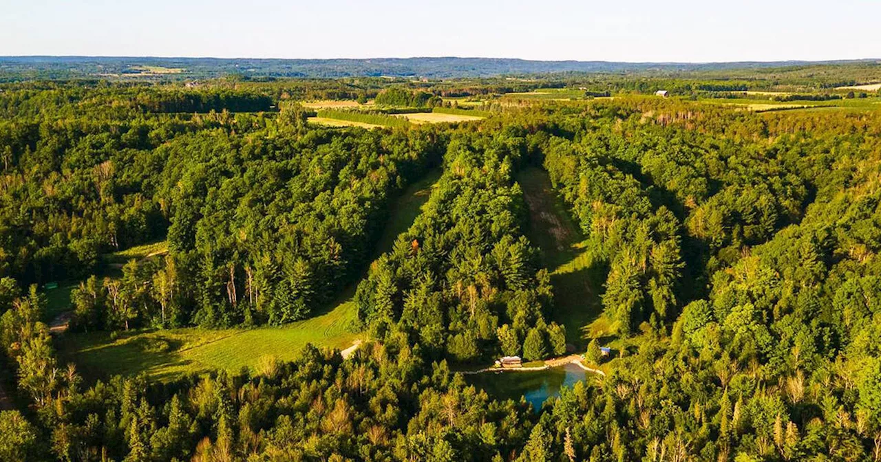 You can now buy an entire Ontario ski resort for cheaper than many houses