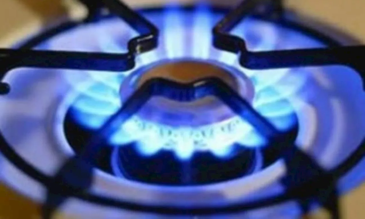 Negociaciones de gas natural arrancan con pie izquierdo: faltan 76,5 GBTUD para contratos