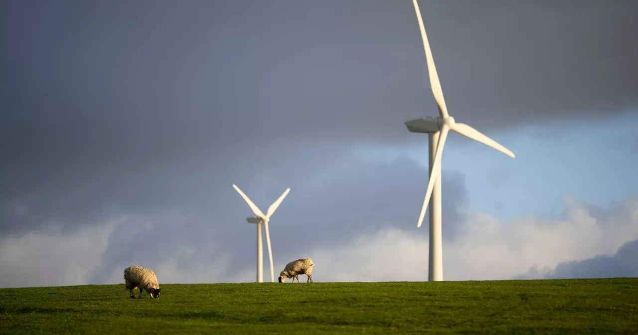 Ayrshire farmer seeks larger wind turbines to help his growing business