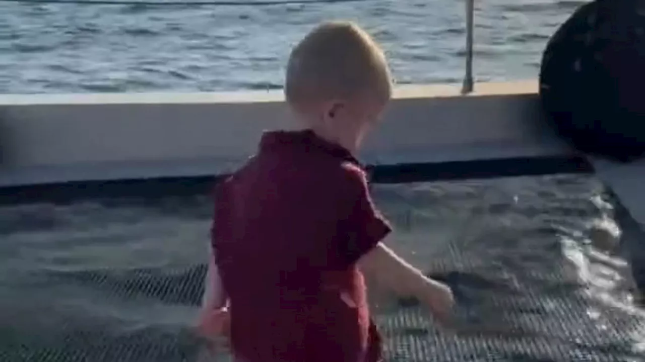 Paris Hilton defends not putting life vest on son Phoenix aboard boat