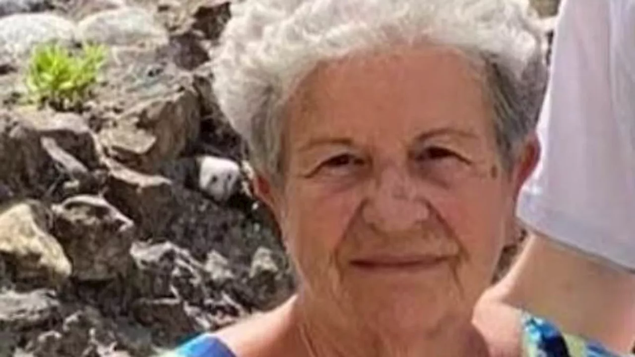 Grandmother, 89, survives for five days alone in the Alps by drinking rainwater and befriending a...