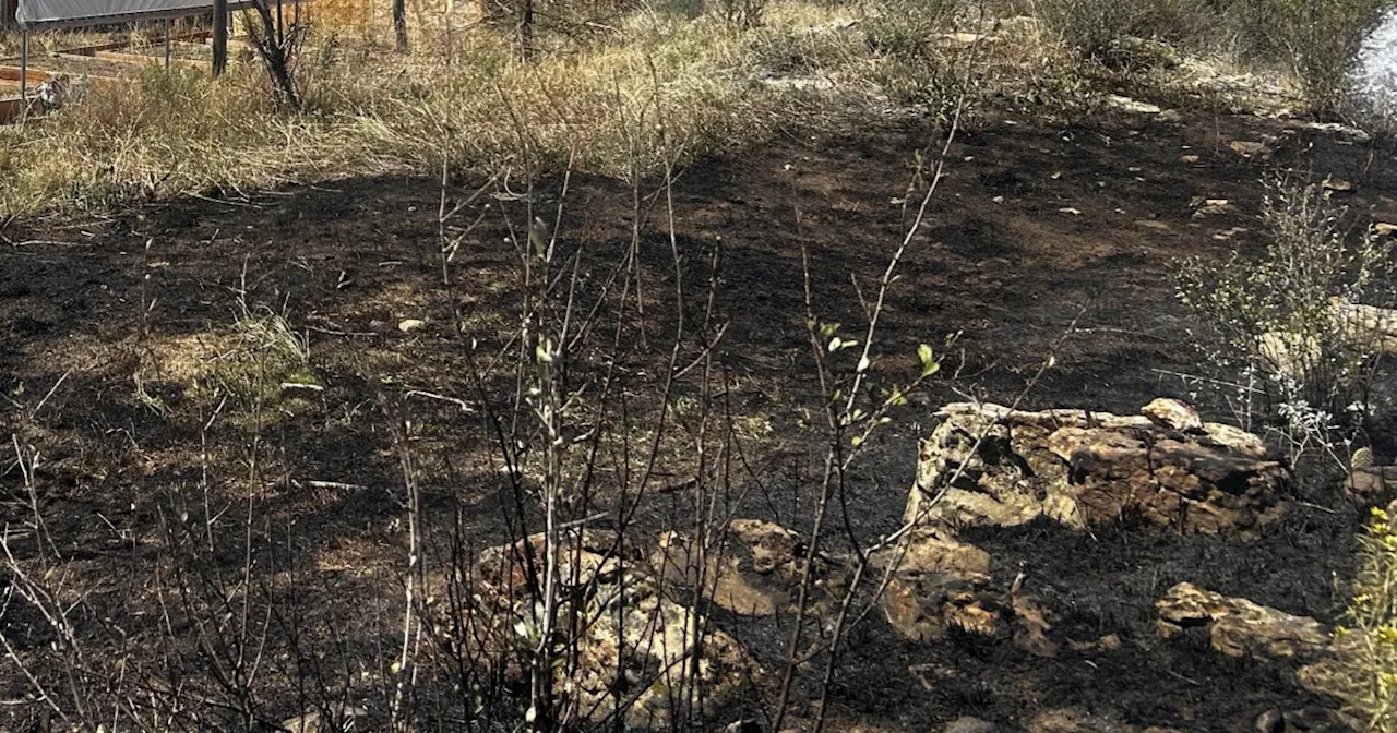 Amid fire restrictions, Larimer Co. crews extinguish grass fire sparked by ember from prohibited burn bin