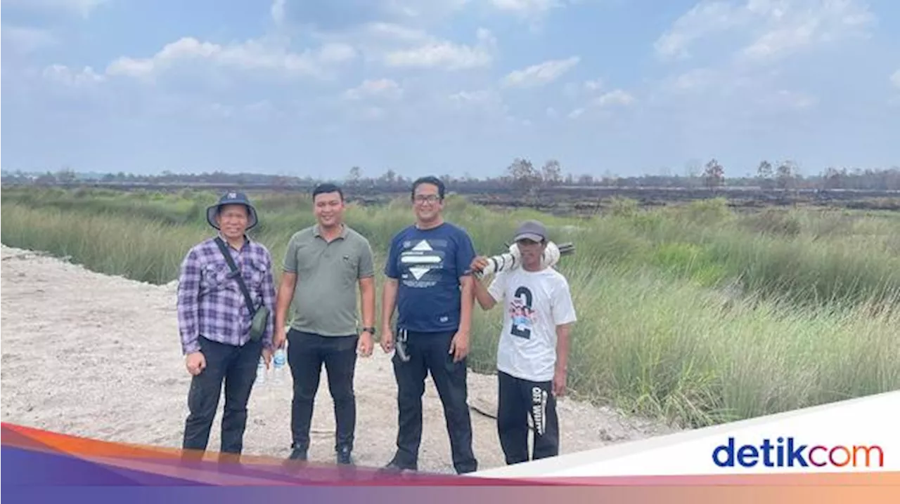 Polda Jambi Selidiki Kebakaran Lahan PT AMM di Tanjabbar