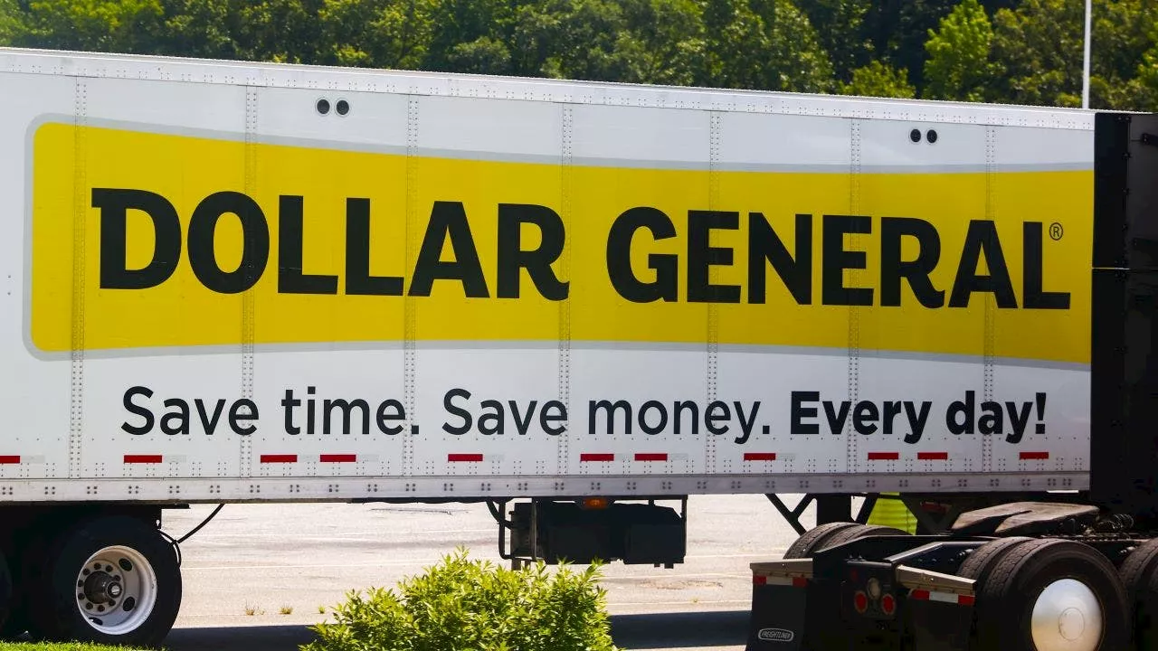 Dollar General CEO says ‘financially constrained' consumers partially to blame for softer demand