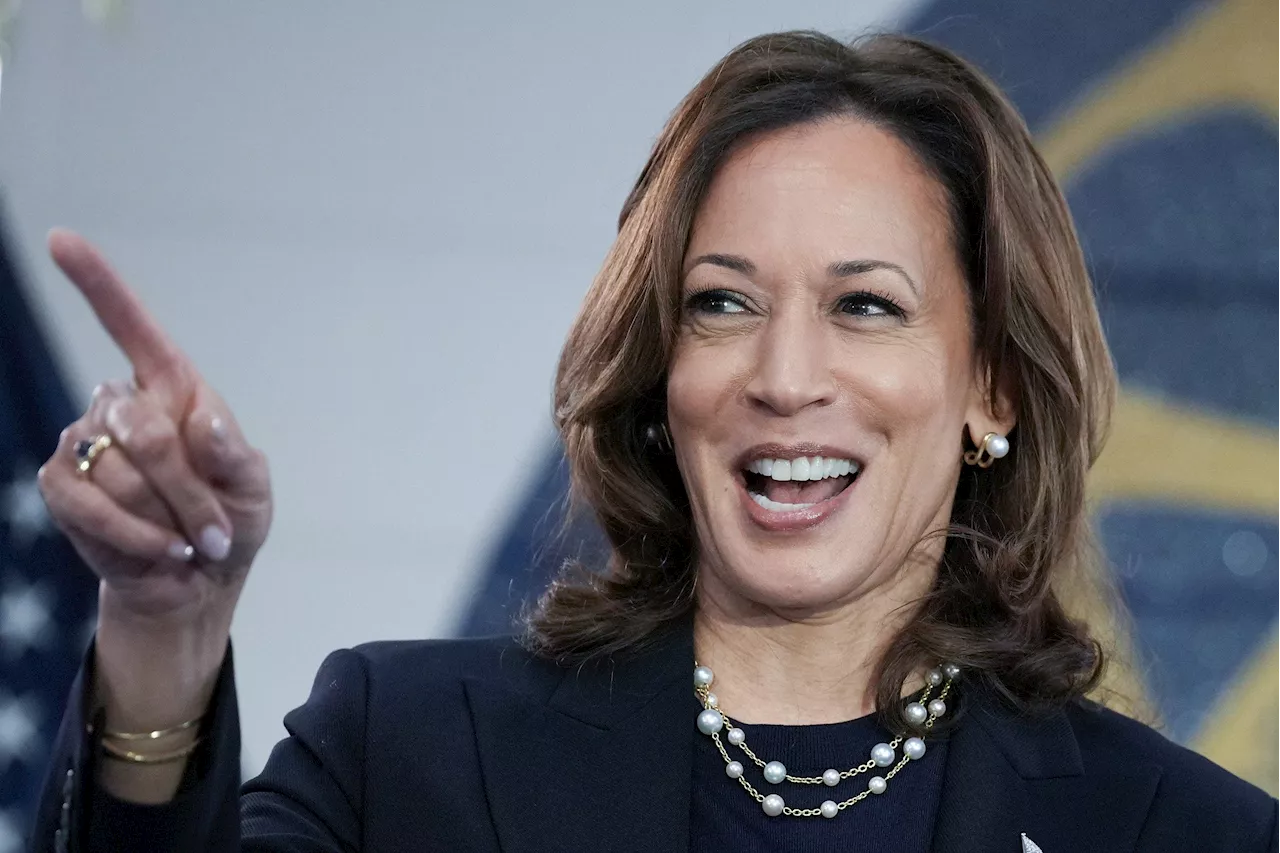 Conservatives pounce on Kamala Harris for latest 'word salad' on climate change 'deadlines'