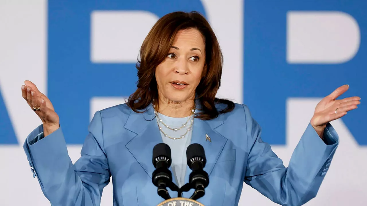 New Mexico rancher says Kamala Harris 'absolutely pandering' by signaling support for border wall