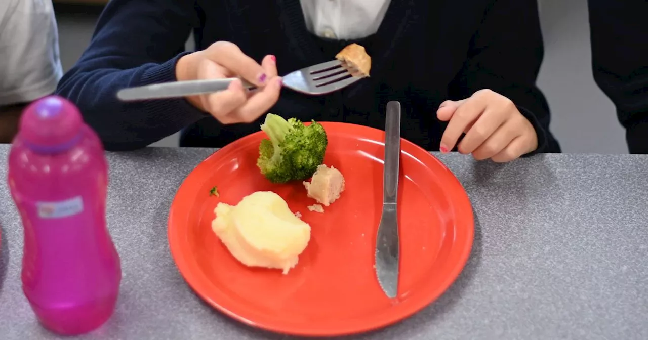 North Lanarkshire parent slams cost of school meals as region most expensive in country