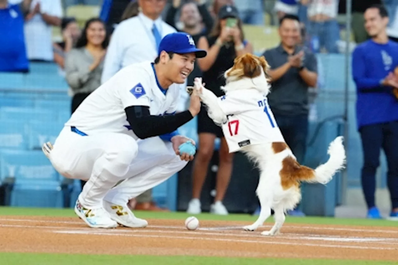 ドジャース・大谷 デコピン弾！愛犬始球式後に先頭打者アーチ メジャー史上2人目「42―42」達成