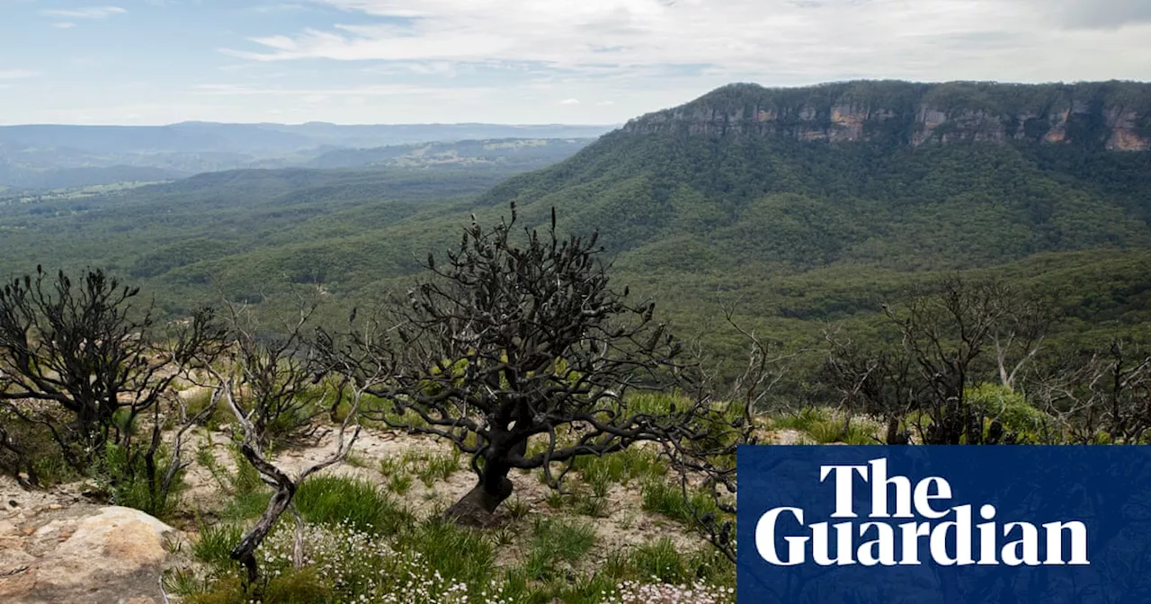 Dam in Blue Mountains closed after elevated levels of PFAS chemicals detected