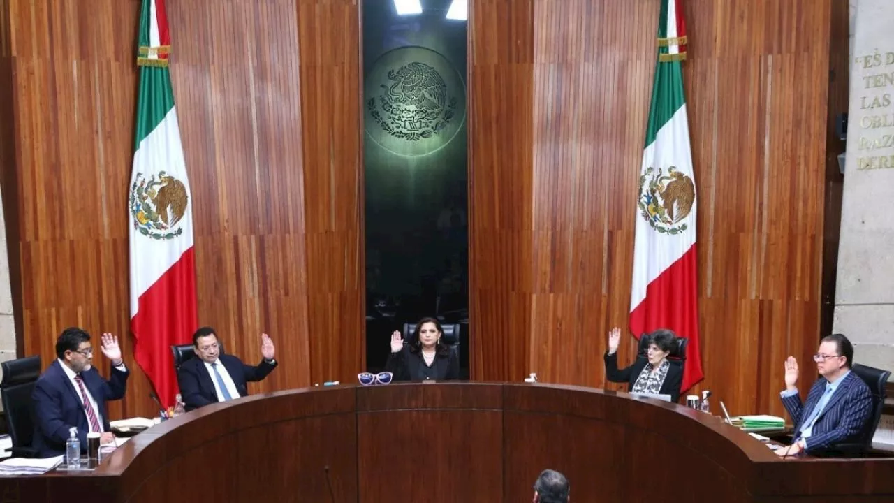 Tribunal Electoral discute mayoría de diputados para Morena y aliados