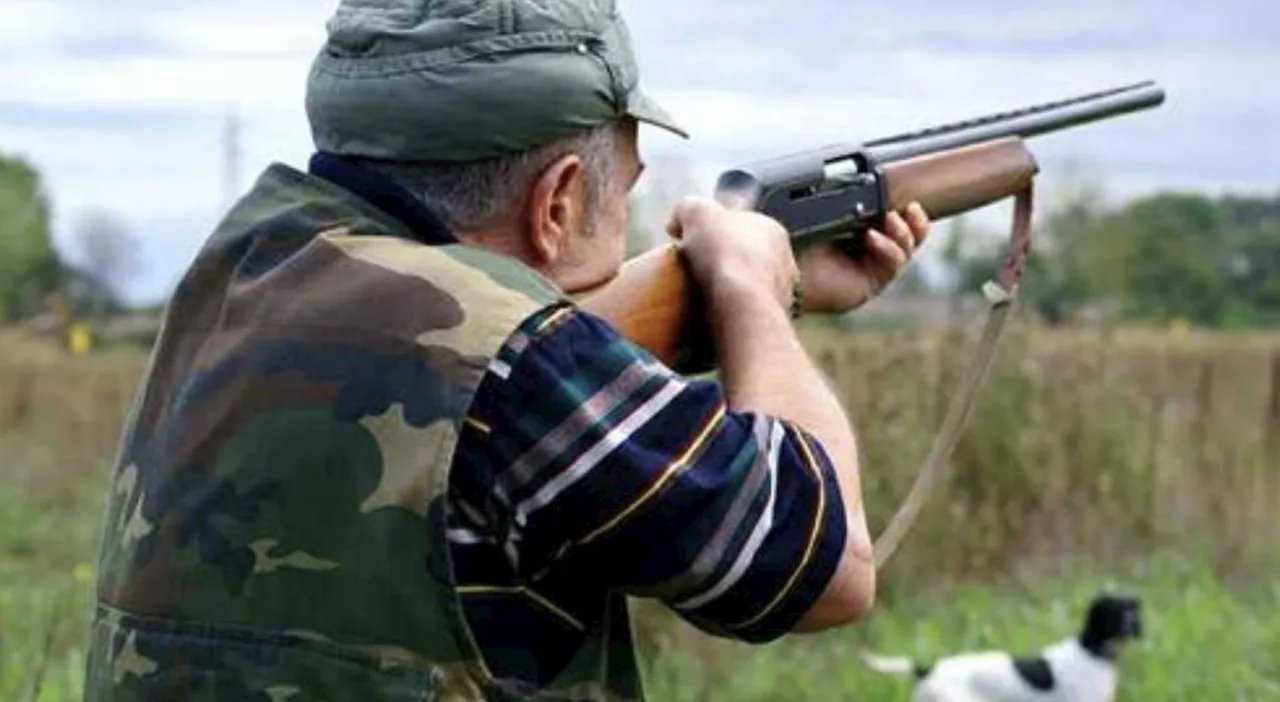 Caccia, in Umbria stop alla tortora per la preapertura: l'ultima decisione del Tar