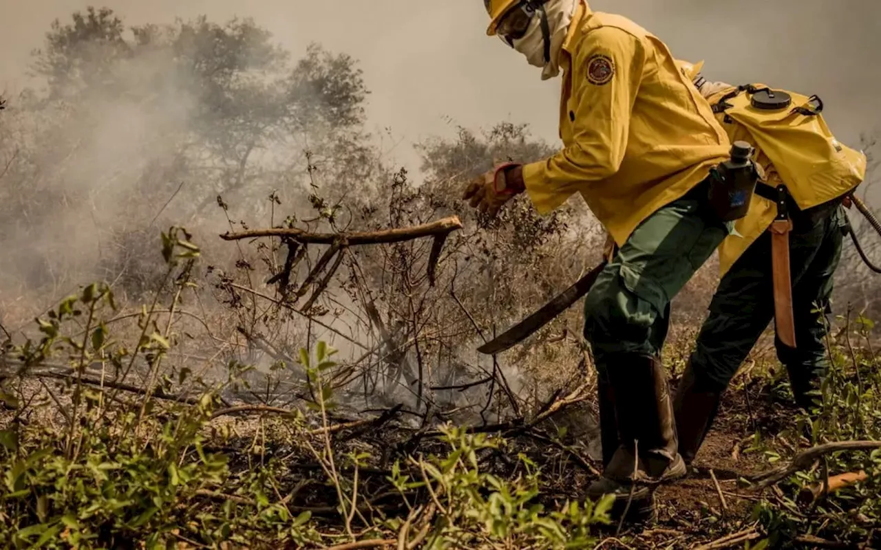 Incêndios no Pantanal já consumiram este ano mais de 15% do bioma